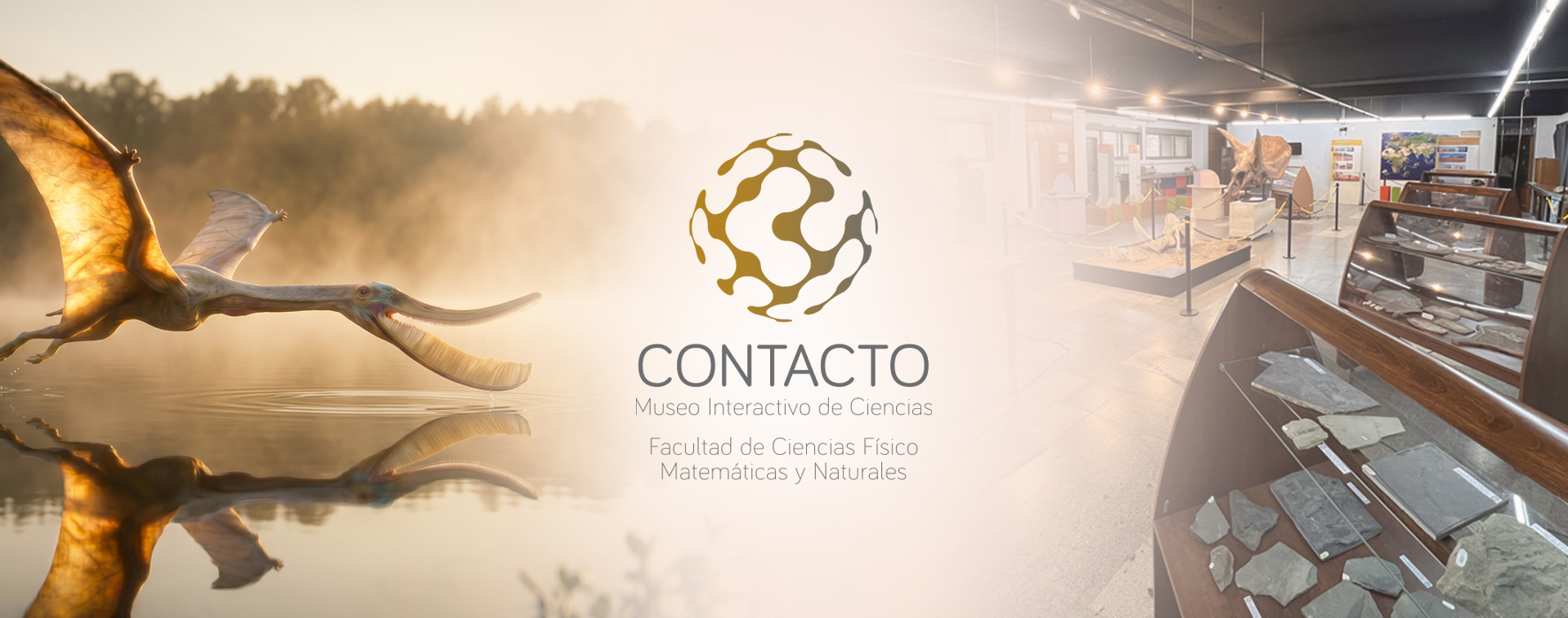 CONTACTO